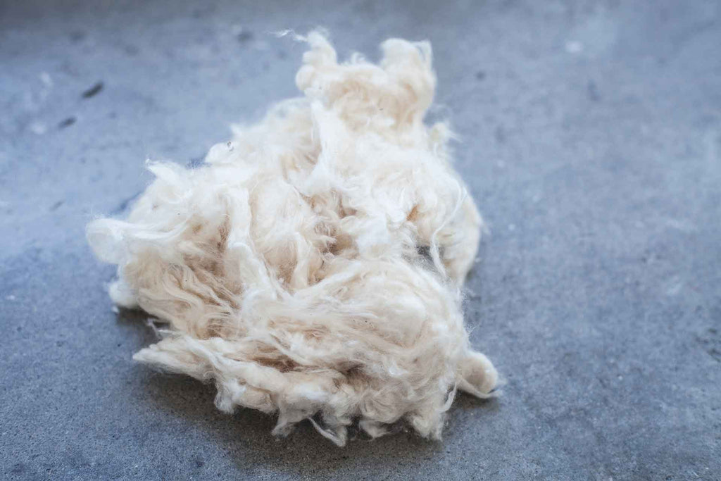 The Organique Pillow